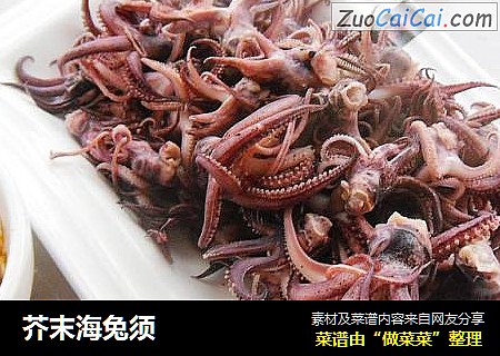 芥末海兔须