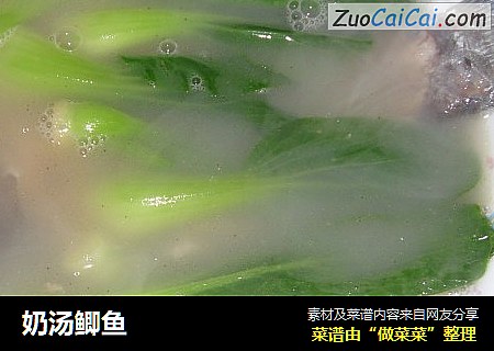 奶汤鲫鱼