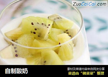 自制酸奶