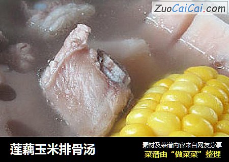 莲藕玉米排骨汤