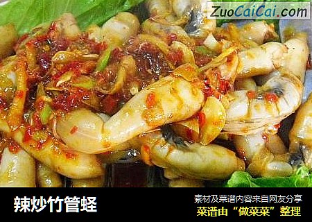 辣炒竹管蛏