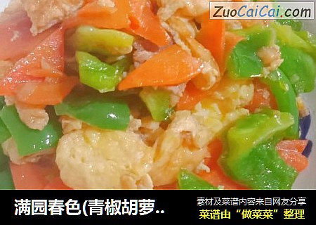 满园春色(青椒胡萝炒嫩蛋)