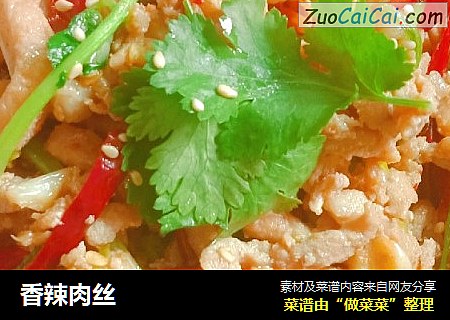 香辣肉丝