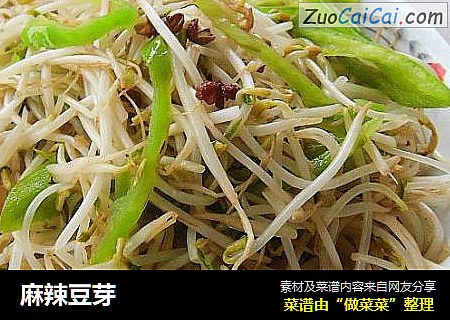 麻辣豆芽