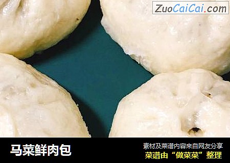 马菜鲜肉包