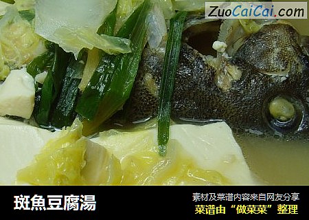 斑魚豆腐湯