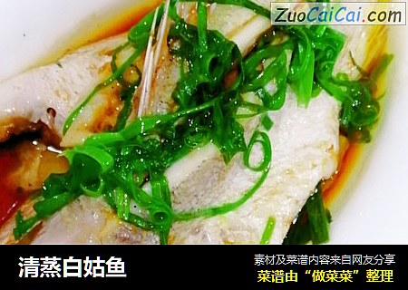 清蒸白姑鱼