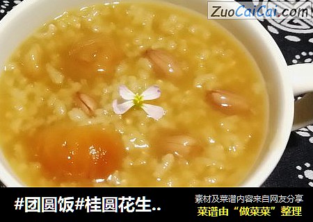 #团圆饭#桂圆花生大米粥