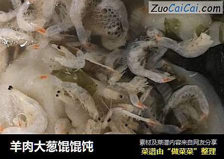 羊肉大葱馄馄饨