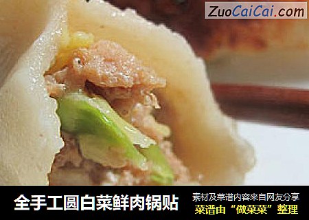 全手工圆白菜鲜肉锅贴
