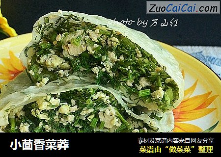 小茴香菜莽