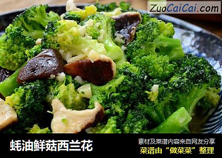 蚝油鲜菇西兰花