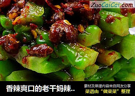 香辣爽口的老干妈辣酱拌苦瓜