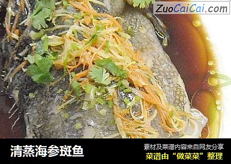 清蒸海参斑鱼
