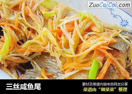 三丝咸鱼尾