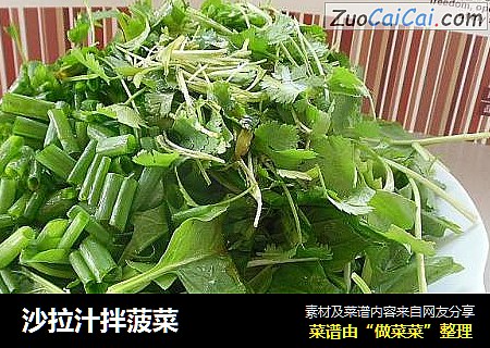 沙拉汁拌菠菜