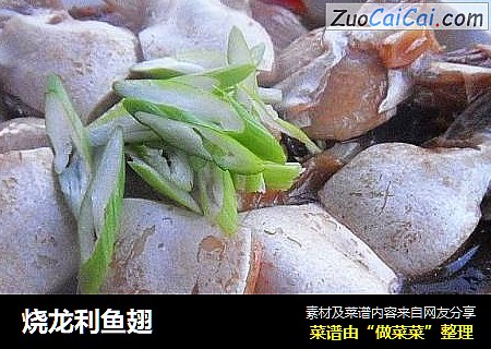 烧龙利鱼翅