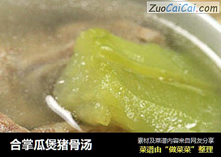 合掌瓜煲猪骨汤