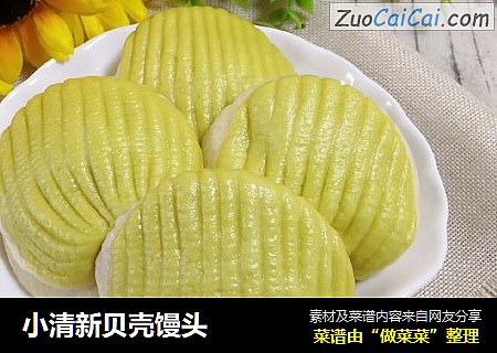 小清新贝壳馒头