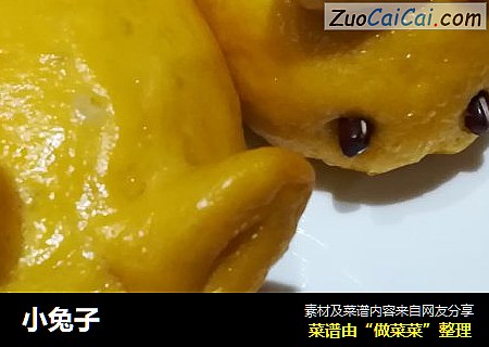 小兔子