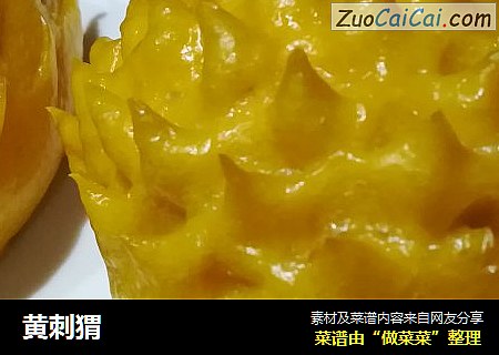 黄刺猬