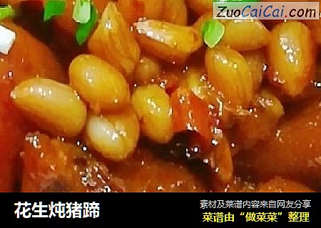 花生炖猪蹄