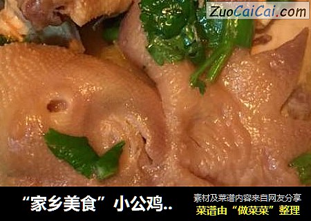 “家乡美食”小公鸡炖山药