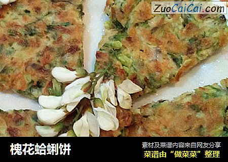 槐花蛤蜊饼