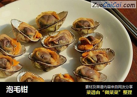 泡毛钳