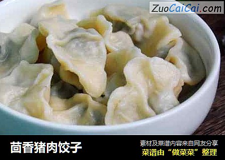 茴香猪肉饺子