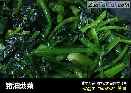 猪油菠菜