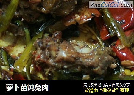 萝卜苗炖兔肉