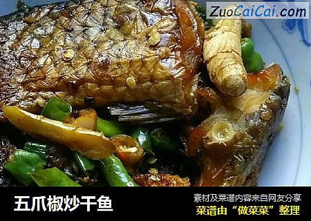五爪椒炒干鱼
