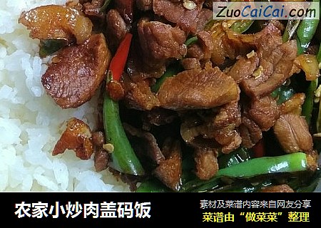 农家小炒肉盖码饭