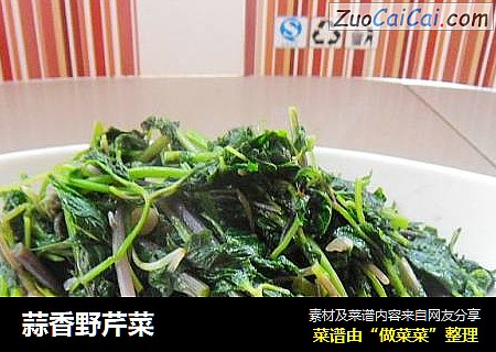 蒜香野芹菜