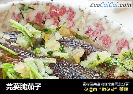 芫荽腌茄子