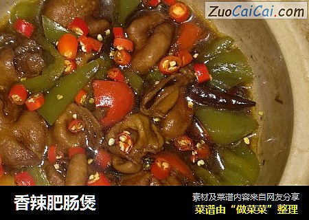 香辣肥肠煲