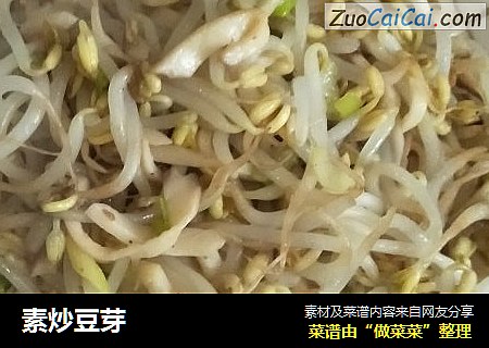 素炒豆芽
