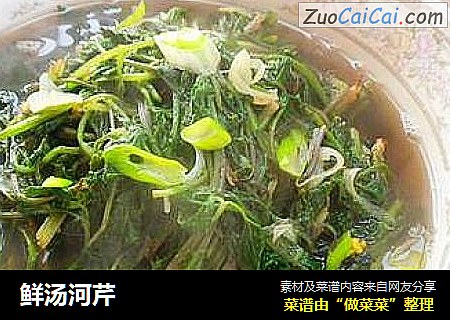 鲜汤河芹