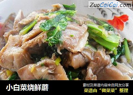 小白菜烧鲜蘑