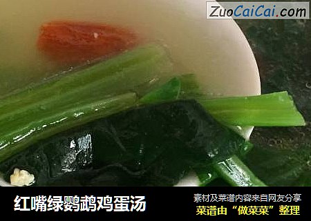 红嘴绿鹦鹉鸡蛋汤