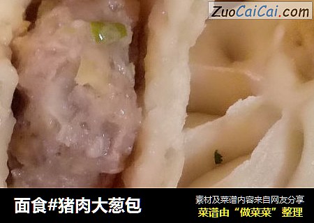 面食#猪肉大葱包