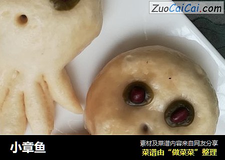小章鱼
