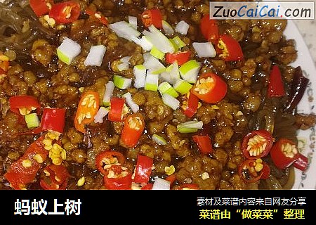 蚂蚁上树