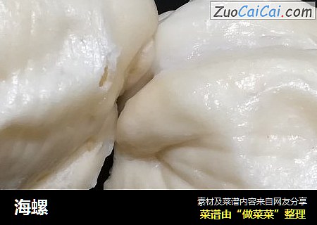 海螺