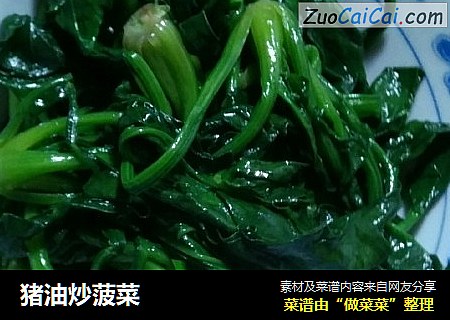 猪油炒菠菜