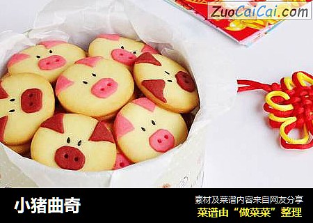 小猪曲奇