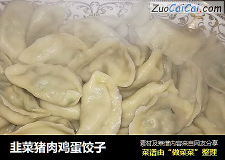 韭菜猪肉鸡蛋饺子