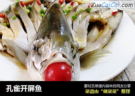 孔雀开屏鱼