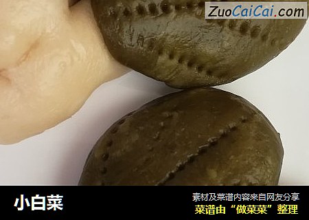 小白菜